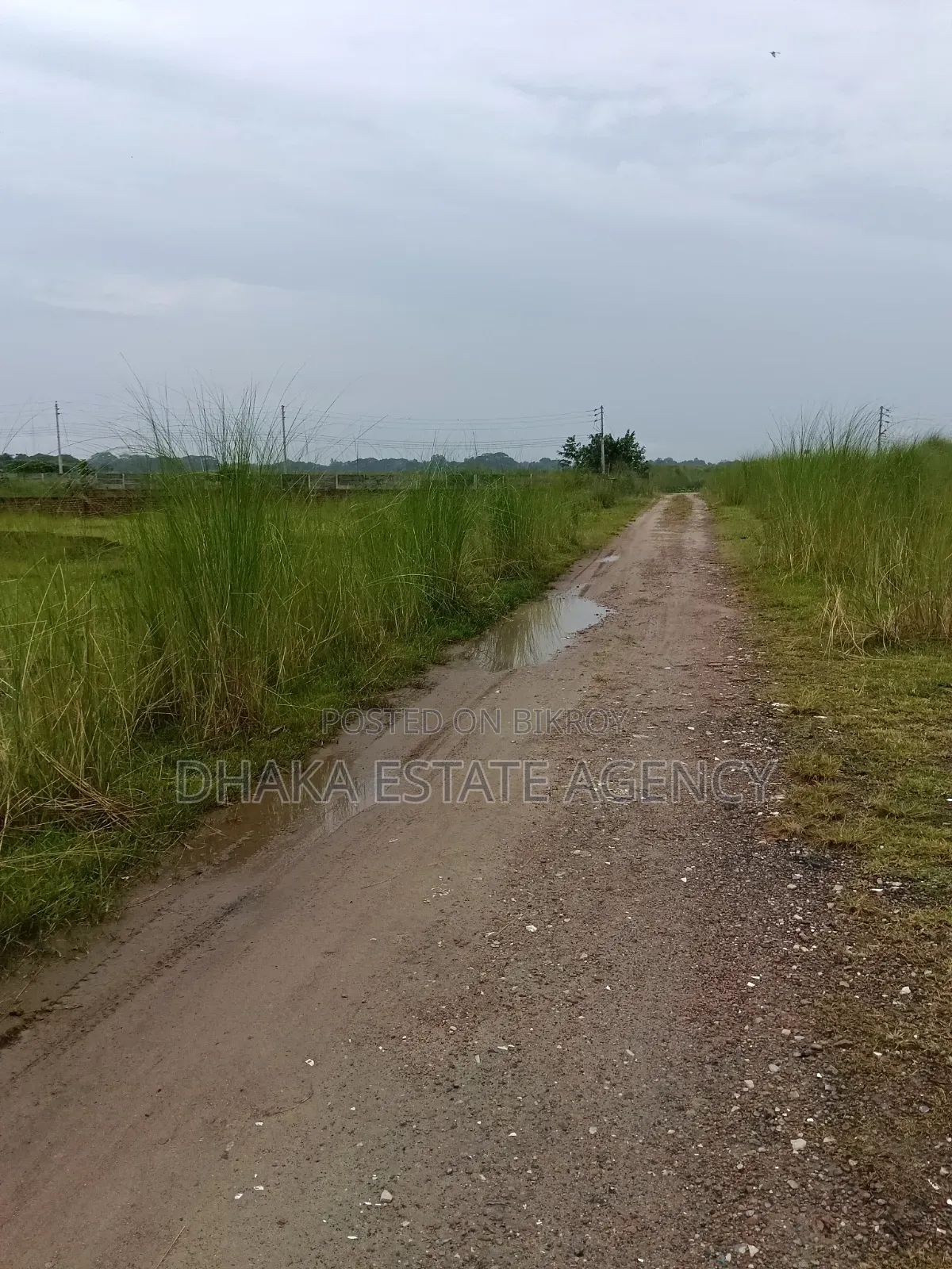 Urgent Block-M, 10 Katha Plot Sale