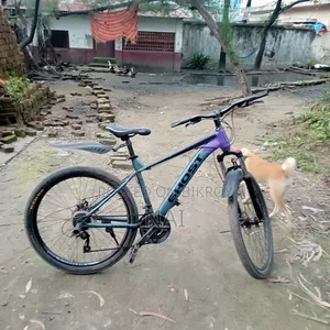 Motorcycle 2022 Purple