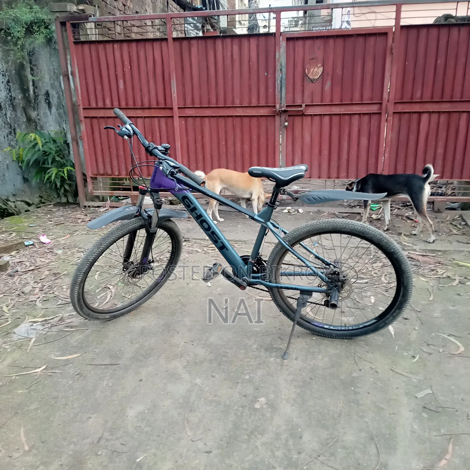 Motorcycle 2022 Purple