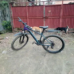 Motorcycle 2022 Purple