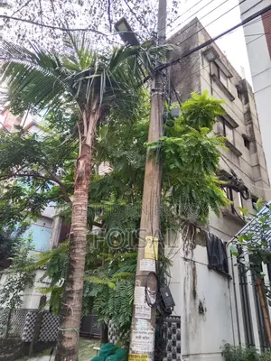 বসুন্ধরা ব্যবহৃত বাড়িতে সাজানো ৩ বেডরুমের বাড়ি বিক্রয়ের জন্য