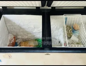 Fresh Fridge