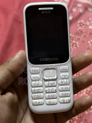 Samsung Guru Music 2 White