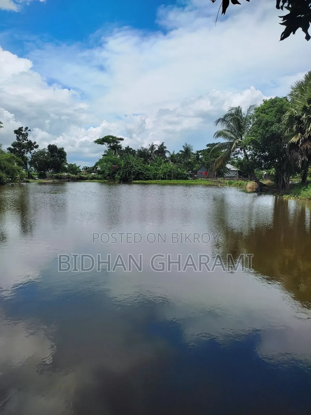 ২ বিঘা জমি পুকুর ও বাড়িসহ বিক্রি হবে