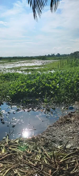 ২ বিঘা জমি পুকুর ও বাড়িসহ বিক্রি হবে
