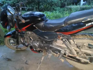 Bajaj Pulsar 150 2019 Red