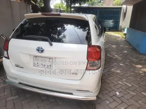 Toyota Corolla Fielder 2013 Pearl