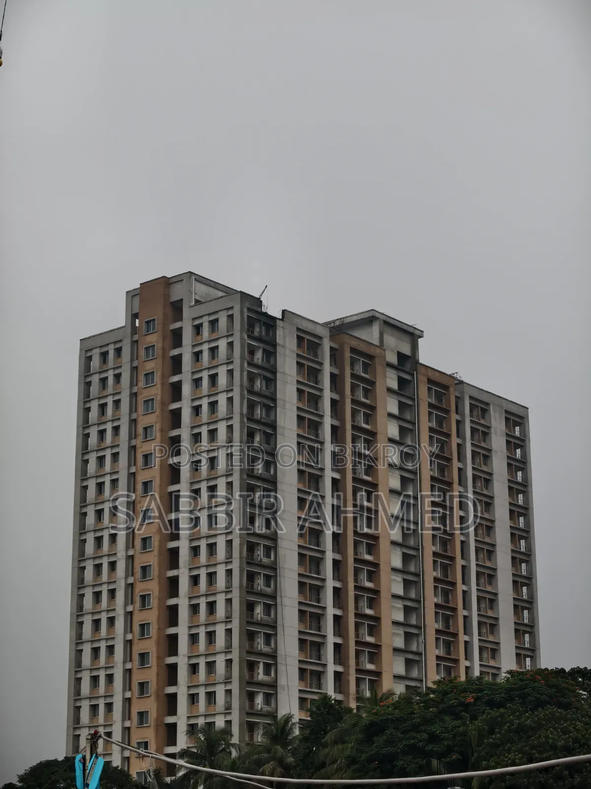 ভিভো এক্স২০০ এফই ৫১২ জিবি পিংক