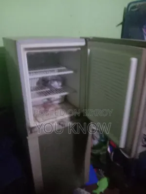 ফ্রিজ কিচেন