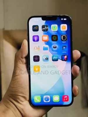 Apple iPhone 13 Pro Max 256 GB Gray