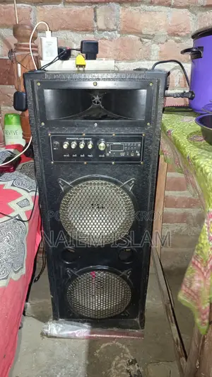 প্রফেশনাল অডিও সিস্টেম