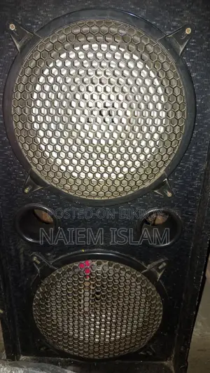প্রফেশনাল অডিও সিস্টেম