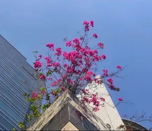 ইউনিক ট্রেড সেন্টার, পান্থপথ কমার্শিয়াল স্পেস ফর সেল