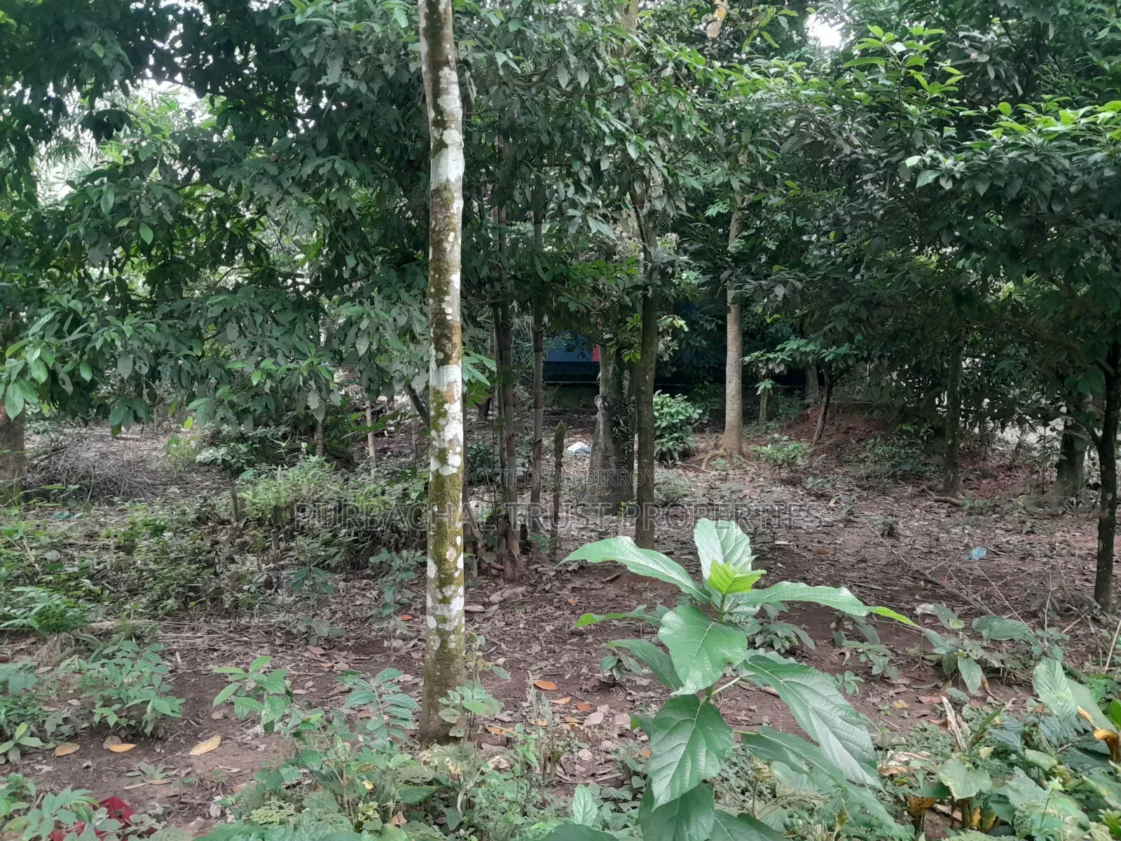 10 Kathas Land for Sale Beside Purbachal