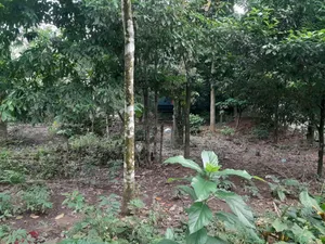 10 Kathas Land for Sale Beside Purbachal