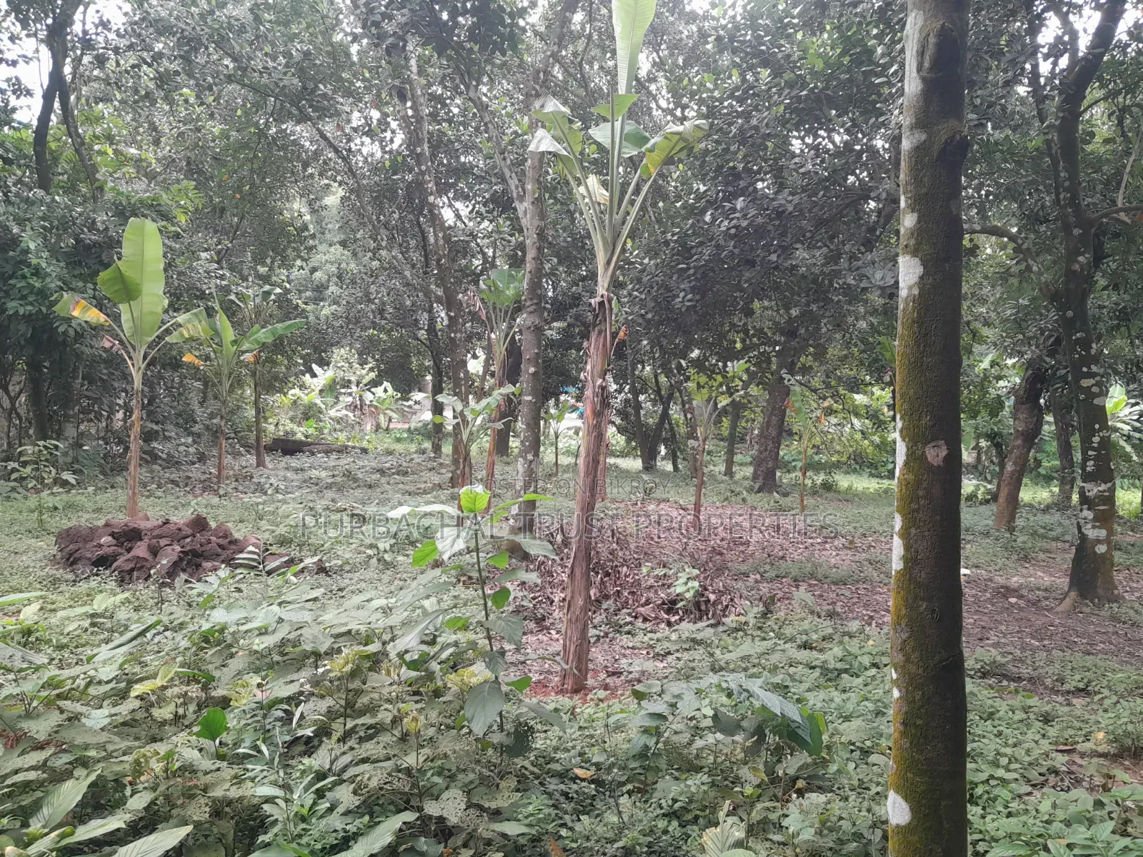 10 Kathas Land for Sale Beside Purbachal