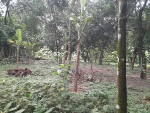 10 Kathas Land for Sale Beside Purbachal