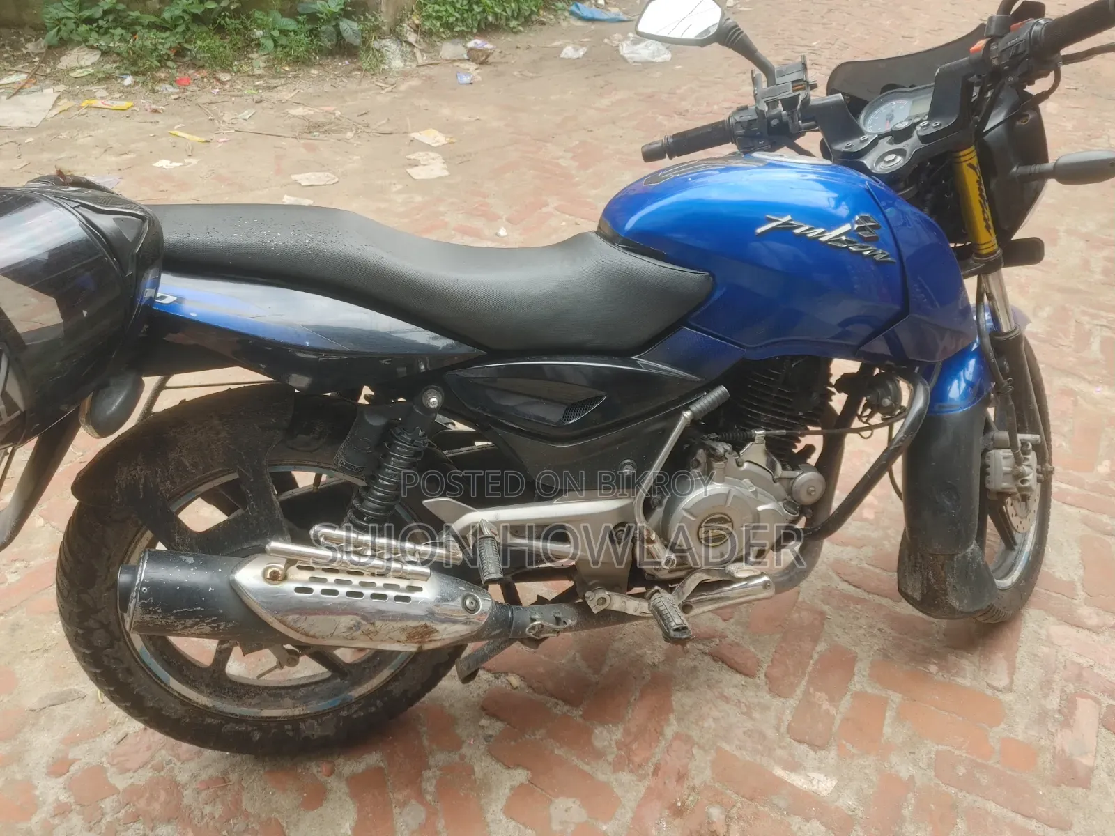 বাজাজ পালসার ১৫০ ২০১২ নীল