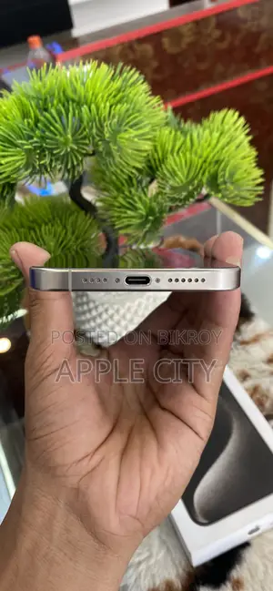 Apple iPhone 15 Pro Max 256 GB Silver