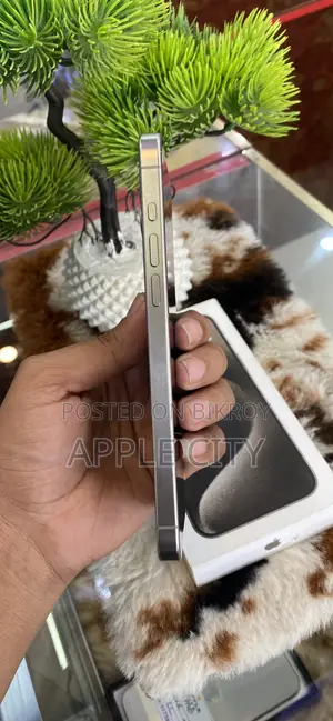 Apple iPhone 15 Pro Max 256 GB Silver