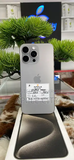 Apple iPhone 15 Pro Max 256 GB Silver