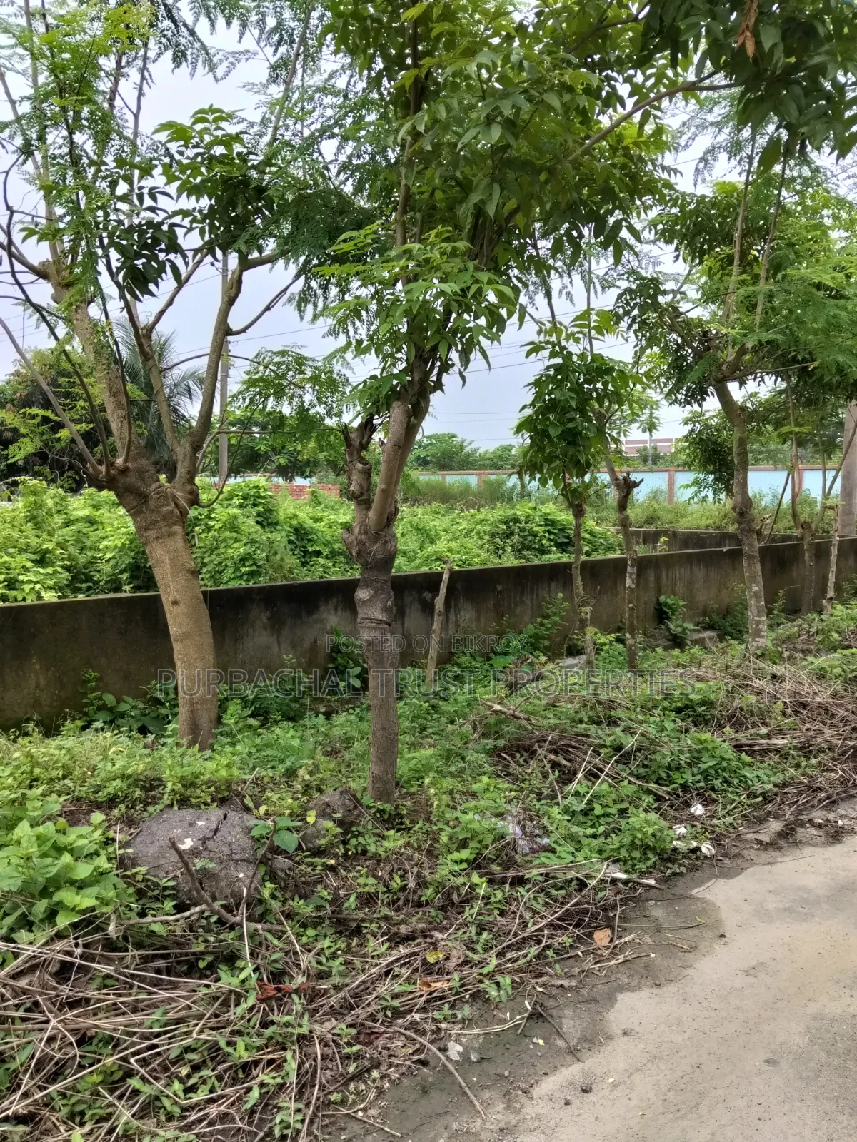 South-Facing 5 Katha Plot for Sale in Sector 8, Purbachal