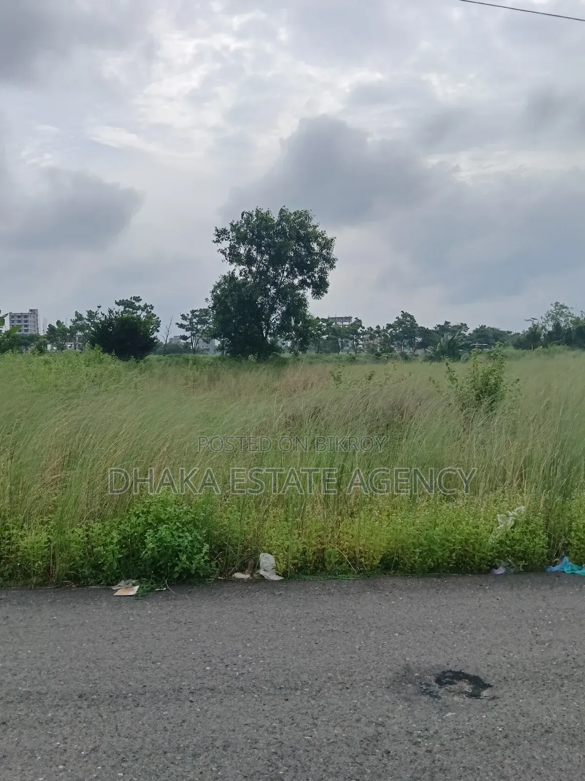 Block-N, 10 Katha Direct Owner Plot Plot Sale