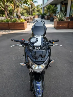 TVS Apache RTR 160 4V Fi 2021 Black