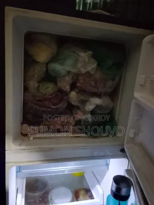 Samsung Fridge