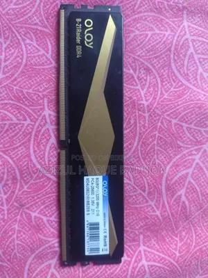 OLOY Band B-21Raider DDR4