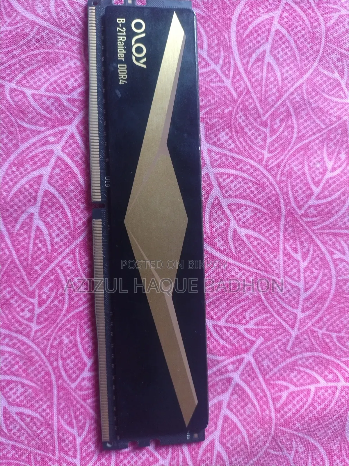 OLOY Band B-21Raider DDR4