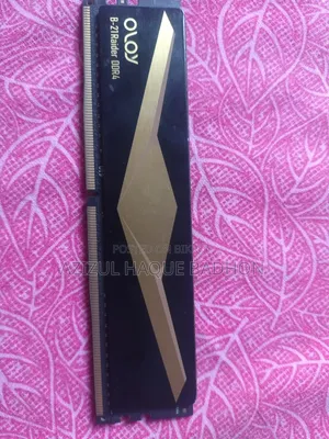 OLOY Band B-21Raider DDR4