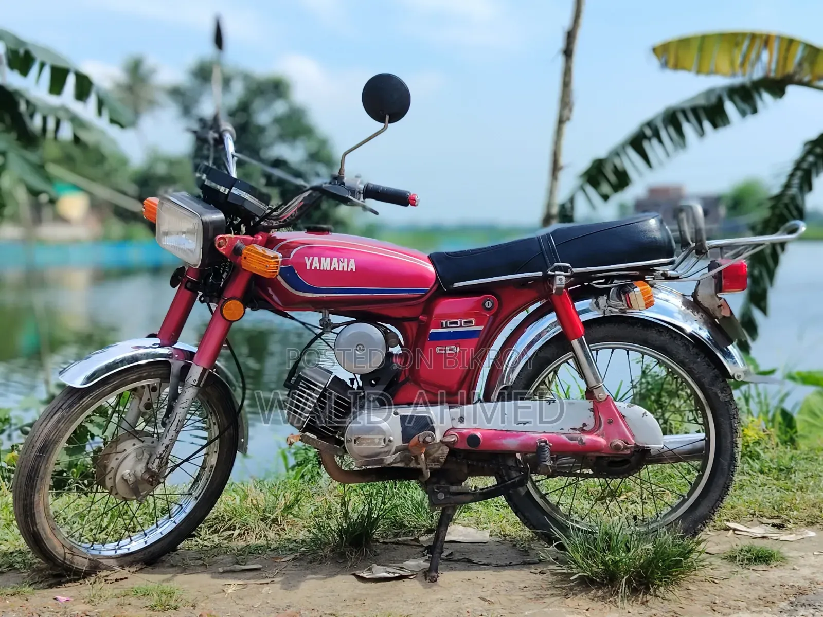 Yamaha 2000 Red