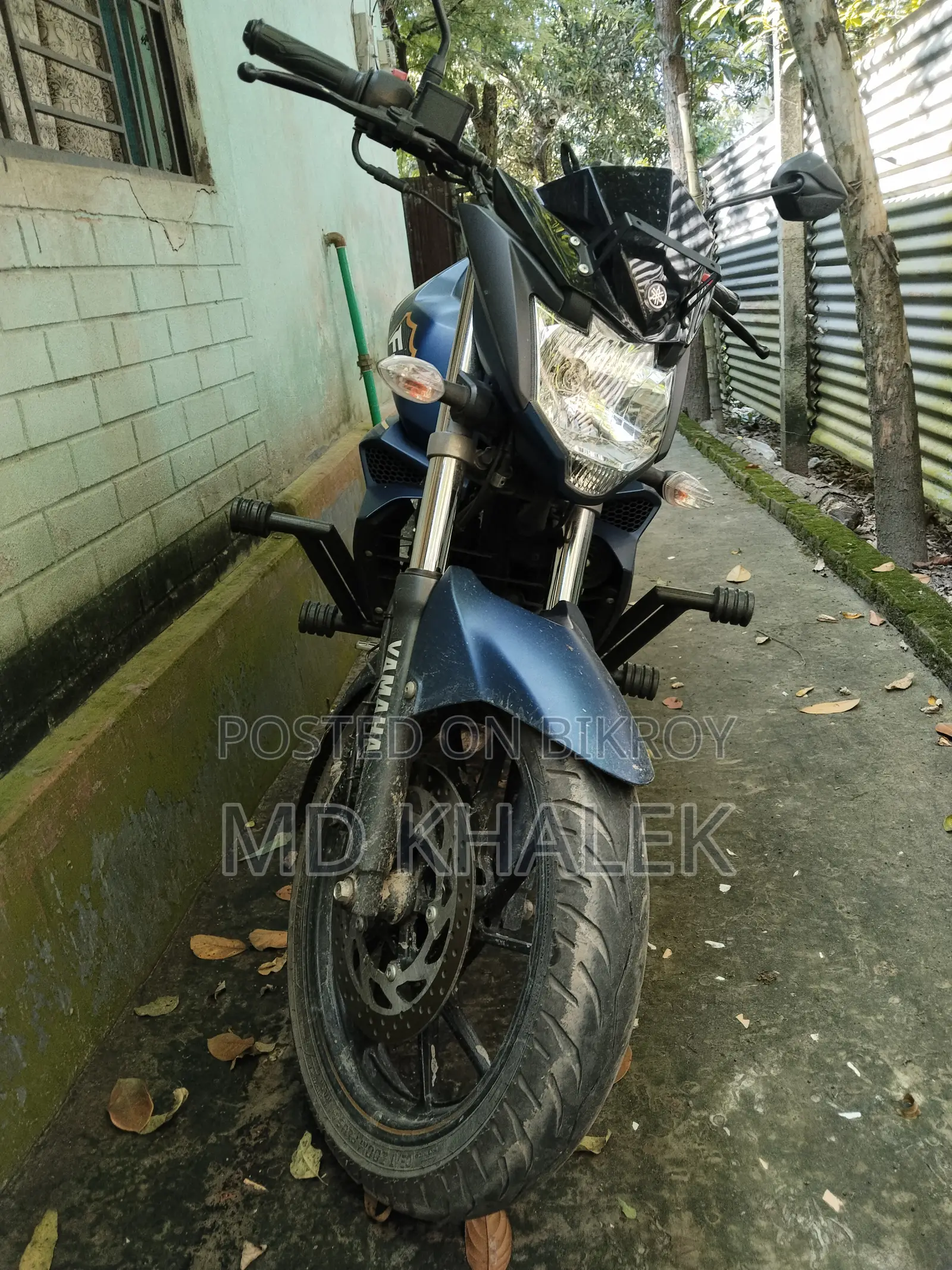 ইয়ামাহা এফজেডএস ভি২ ২০২৬ ব্লু