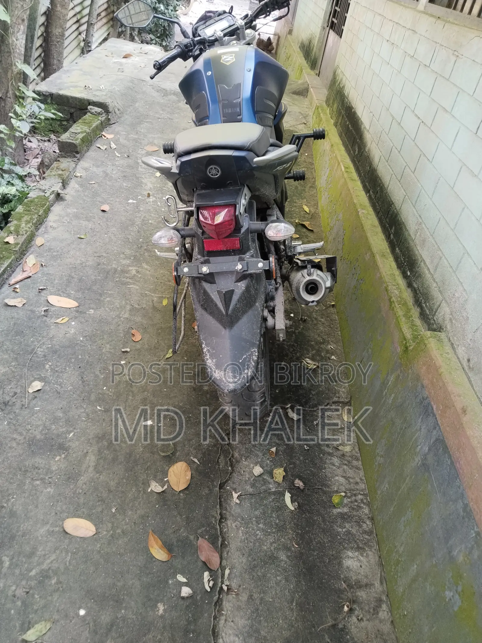 ইয়ামাহা এফজেডএস ভি২ ২০২৬ ব্লু