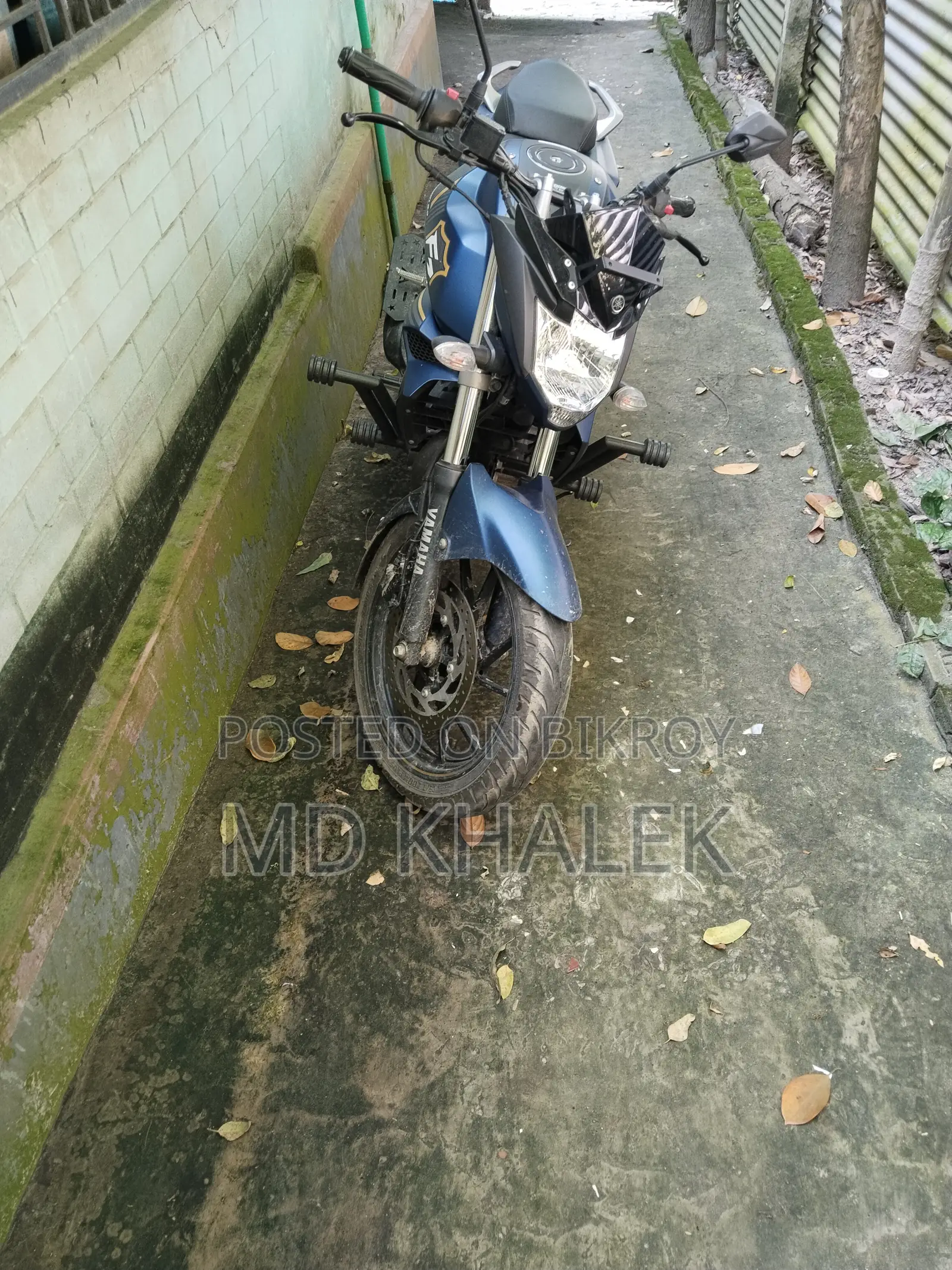 ইয়ামাহা এফজেডএস ভি২ ২০২৬ ব্লু