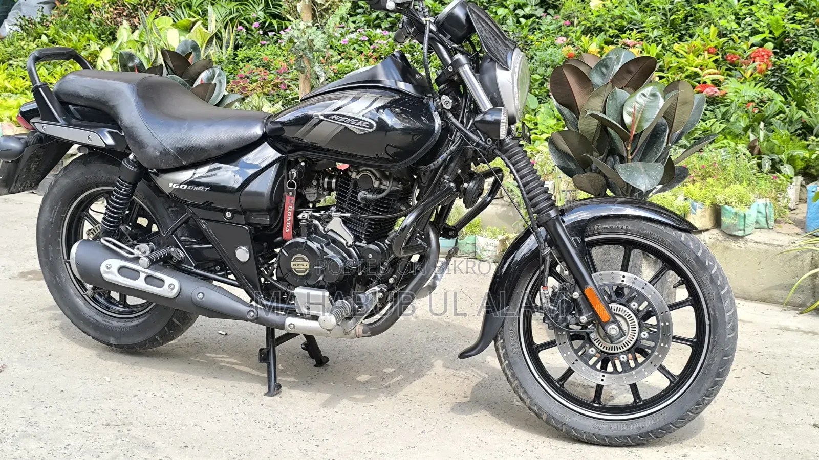 Bajaj Avenger 160 Street 2023 Black