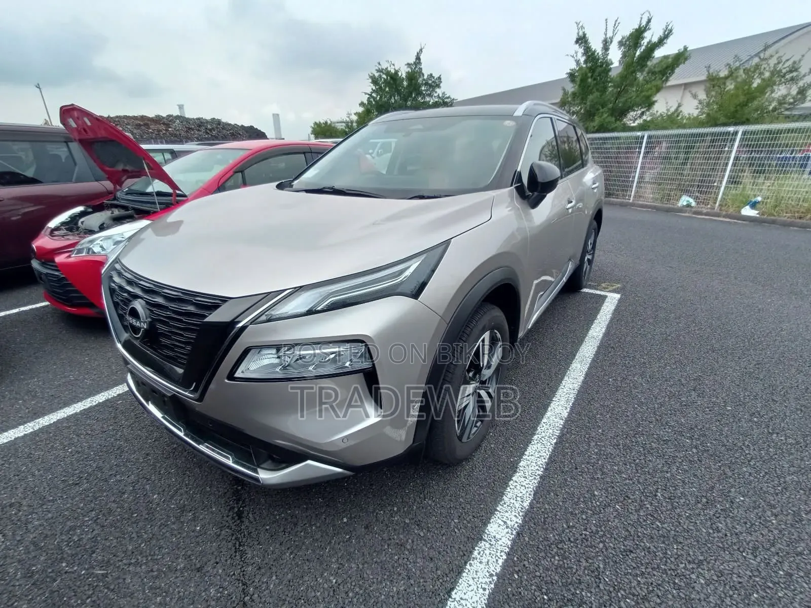 Nissan X-Trail 2024 Beige