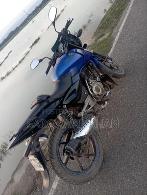 বাজাজ পালসার ১৫০ ২০১৩ নীল