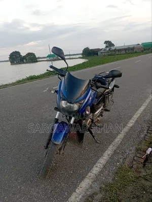 বাজাজ পালসার ১৫০ ২০১৩ নীল