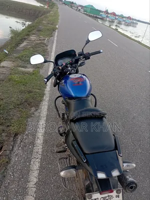 বাজাজ পালসার ১৫০ ২০১৩ নীল