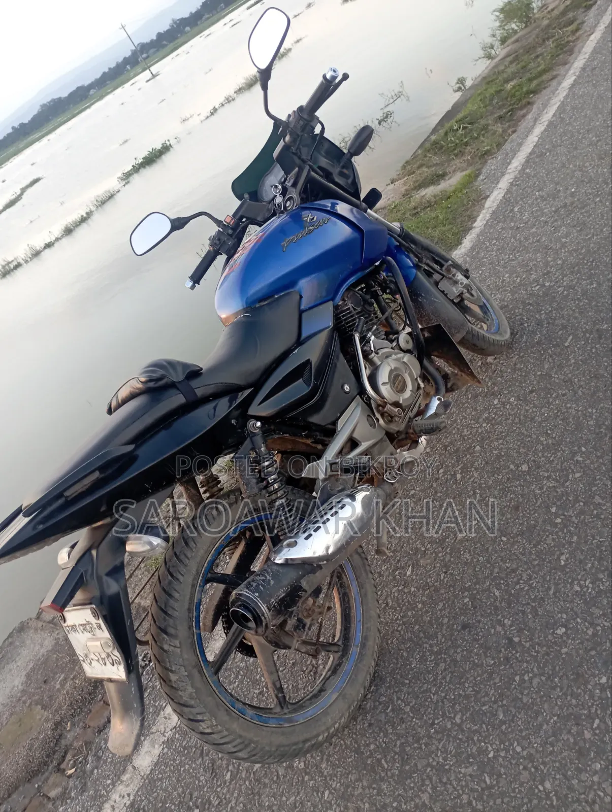বাজাজ পালসার ১৫০ ২০১৩ নীল