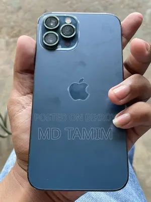 অ্যাপল আইফোন ১২ প্রো ম্যাক্স ২৫৬ জিবি নীল