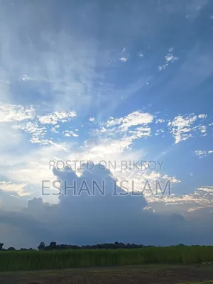 ওয়ানপ্লাস নর্ড সিই ৩ লাইট ৫জি ১২৮ জিবি গ্রে