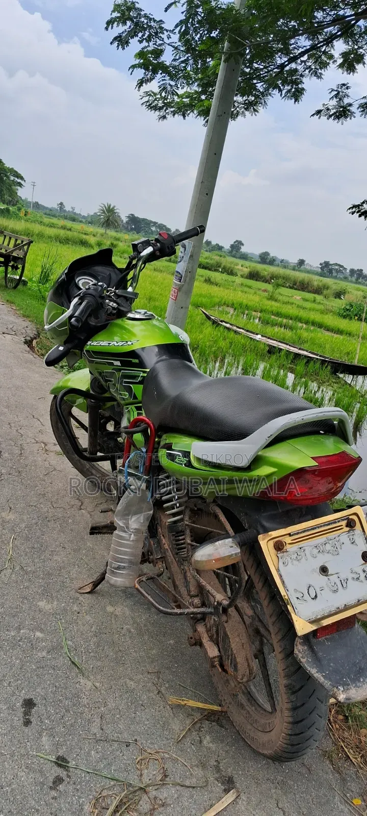 TVS 2014 Green