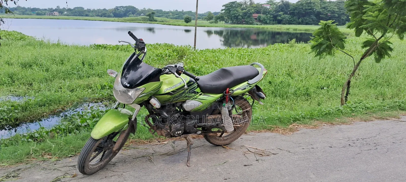 TVS 2014 Green