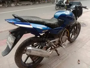 Bajaj Pulsar 150 2009 Blue