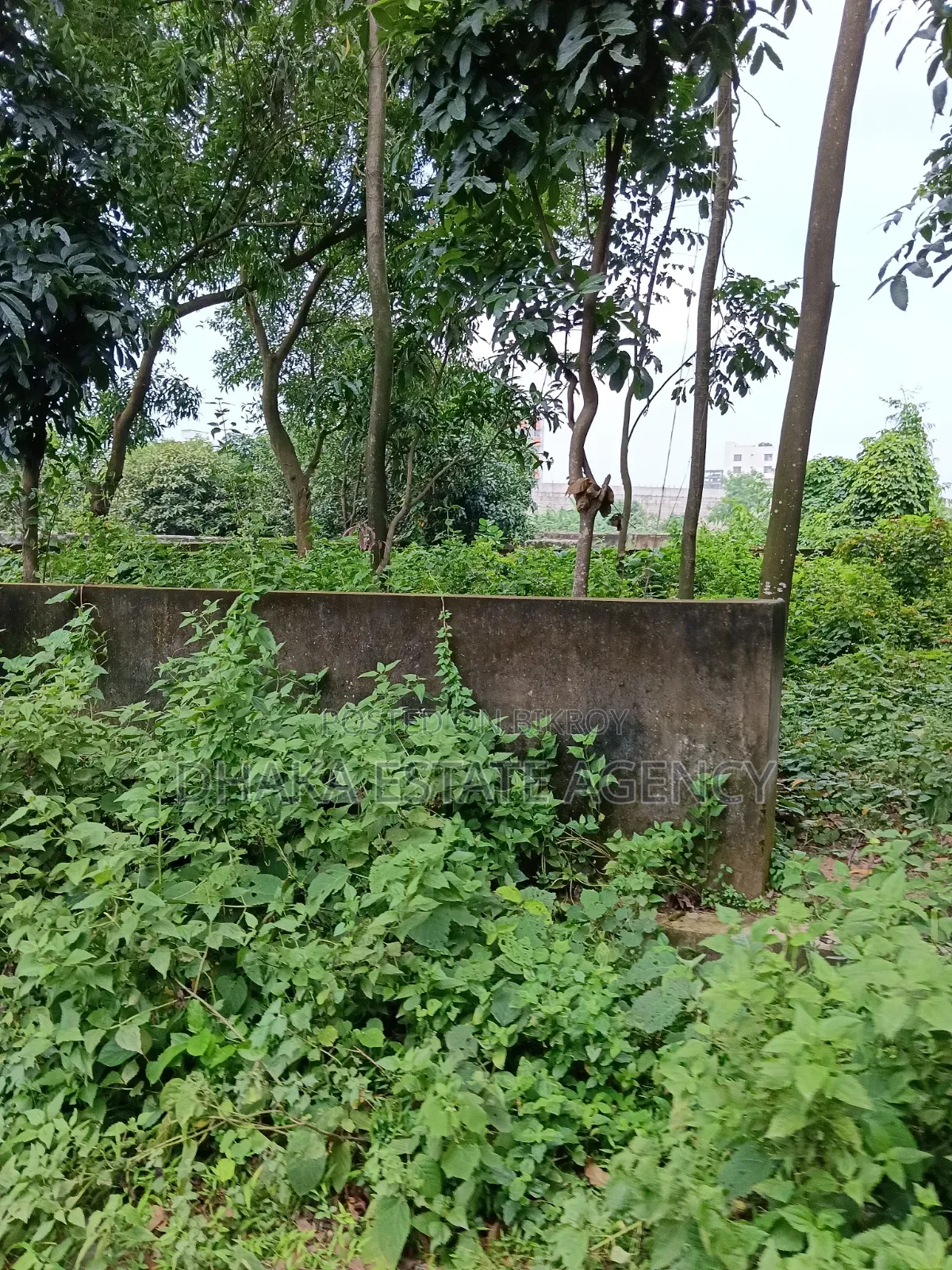বসুন্ধরা ব্লক-এম, ৭.৫০ কাঠা