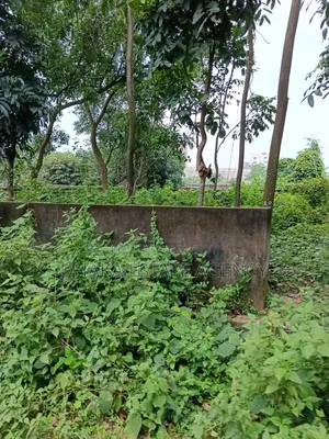 বসুন্ধরা ব্লক-এম, ৭.৫০ কাঠা