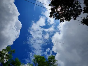 শাওমি রেডমি ১০সি ১২৮ জিবি ব্ল্যাক